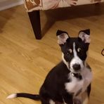 Profile Picture of Kellie ClayTassell (@kellie.claytassell.5) on Facebook