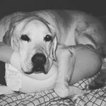 Profile Picture of Michaela Baers (@michaelabaers) on Instagram