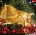 Profile Picture of Debbie Tarbath (@Debbie-Tarbath) on Facebook