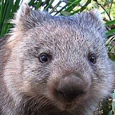 Profile Picture of Jeff Poulsen (@gladys451) on Twitter