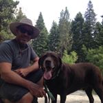 Profile Picture of Steve wragg (@swwragg) on Instagram