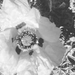 Дневник моего лета - Instagram Profile Picture of Дневник моего лета (@summer.s_days) on Instagram