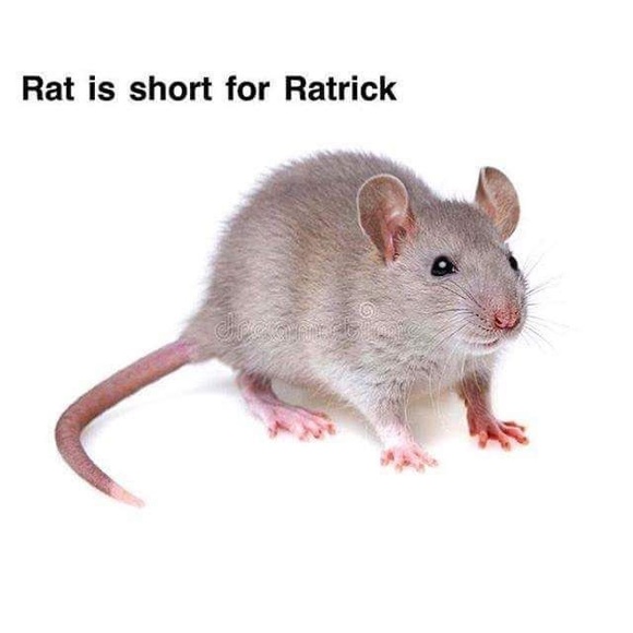 Sophie Oreiro - Poshmark Profile Picture of Sophie Oreiro (@sophieoreiro) on Poshmark