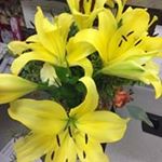 Profile Picture of Kim Baird Phillips (@popkorntheatres) on Instagram