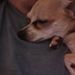 Profile Picture of George Chamberlain (@doctor_zings) on Pinterest