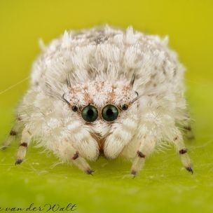 Profile Picture of Matthew Miazga (@scarecrow852b) on Twitter