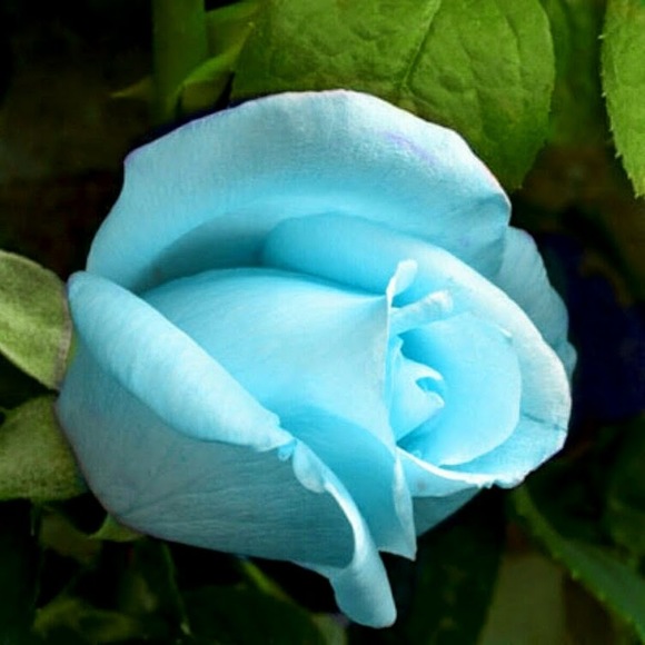 Profile Picture of Hope Stephens (@ehs7369) on Poshmark