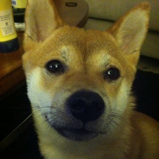 Profile Picture of Benjamin Jaworski (@Benjamin-Jaworski) on Facebook