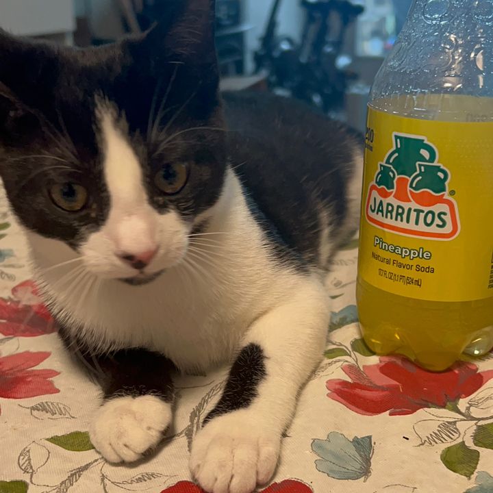 Profile Picture of 🍒Cherry🍒 (@cherry_caps) on Tiktok