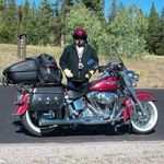 Profile Picture of Chris Pedigo (@turbo86004) on Instagram