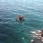 Profile Picture of Janet Lake (@bluedogbeverage) on Instagram