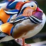 Profile Picture of Борис Ткач (@boris.tkach) on Instagram