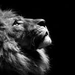 Profile Picture of John Shinoda (@john.bg.5) on Facebook