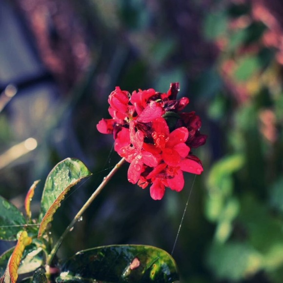 Profile Picture of Meng Chen (@meng3425) on Poshmark