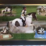 Profile Picture of Amanda Holloway (@amandahollowayequestrian) on Instagram
