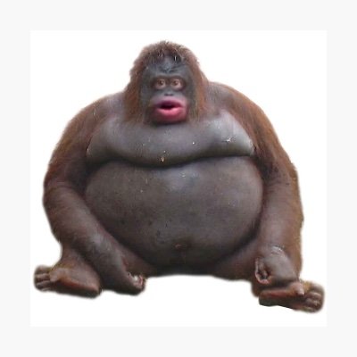Profile Picture of Travis Wilkinson (@TravisW39821594) on Twitter
