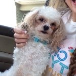 Profile Picture of Barley James Holifield (@barley_straightg) on Instagram