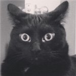 Profile Picture of wyatt fitzgerald (@wyatt_fitz) on Instagram