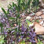 Profile Picture of Felix Cueto (@felix.cueto.522) on Facebook