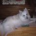 Profile Picture of Betty Jo Mabe (@bettyjo.mabe) on Facebook