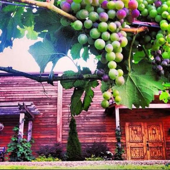 Profile Picture of Jim Odom (@tactical) on Poshmark