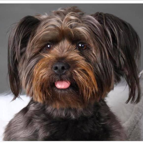 Profile Picture of Susan Boase (@susanboase) on Poshmark