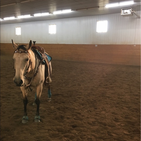 Profile Picture of Sydney Balmer (@balmer04) on Poshmark