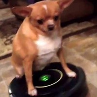 Profile Picture of Brandon Arsenault (@brandon-arsenault-9) on Quora
