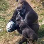 Profile Picture of Damon Curtis (@damonmcurtis) on Instagram