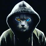 Profile Picture of thomas elsner (@thomas_169099) on Instagram