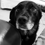 Profile Picture of Ian (@ianmcloughlin) on Instagram