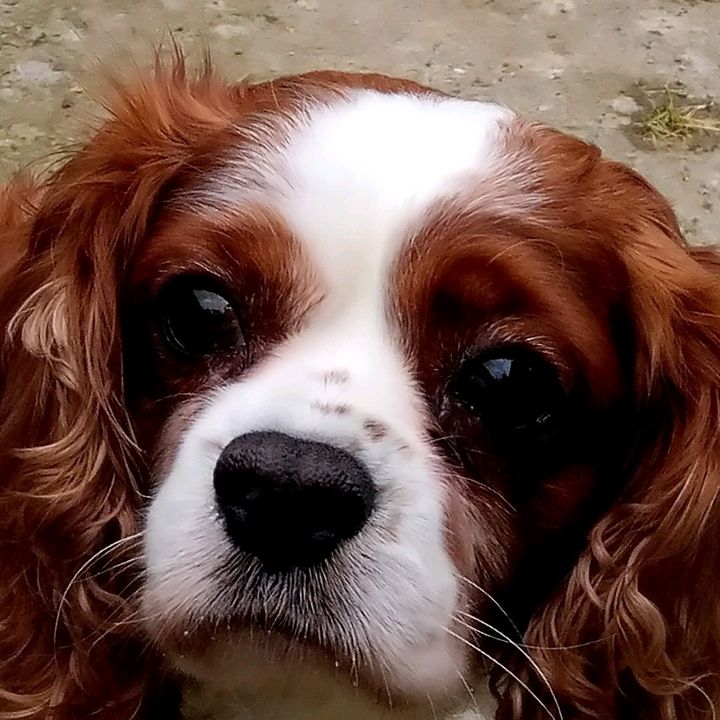 Profile Picture of jmacna15 (@james_macnaught_) on Tiktok