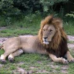 Profile Picture of Heather D. White (@oden_kyle) on Twitter