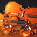 Profile Picture of Sheri Cain (@psm_orchestras) on Instagram