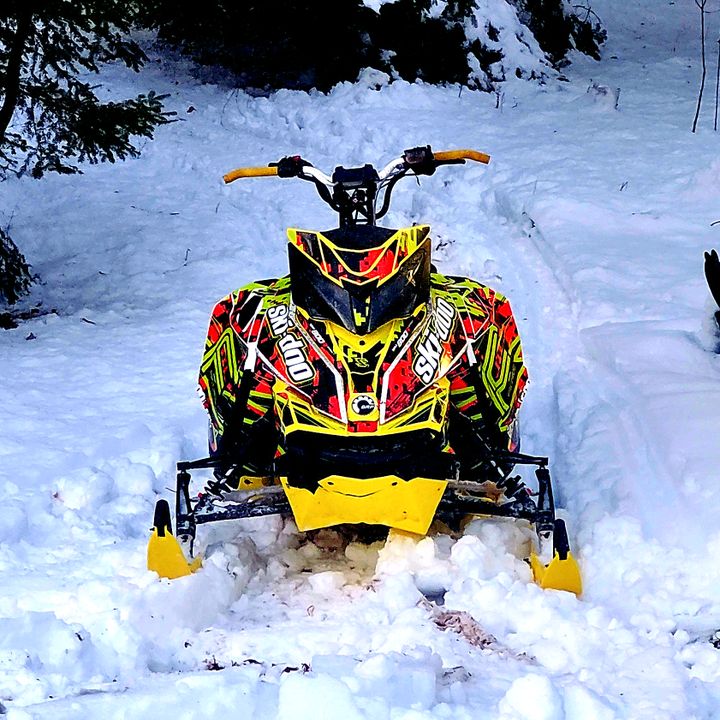 Profile Picture of Cody Stanley (@codybstanley) on Tiktok