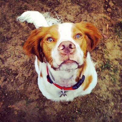 Profile Picture of Mark (@NegusMark) on Twitter