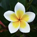 Andrea Licciardello - Instagram Profile Picture of Andrea Licciardello (@licciardelloandre) on Instagram