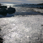 Profile Picture of Jacqueline Phillips (@CUJOpolo) on Youtube