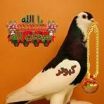 Profile Picture of David Marboy (@David-Marboy) on Facebook