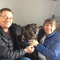 Profile Picture of Gretchen Heinrich (@gretchen-heinrich-4) on Quora