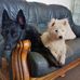 Profile Picture of Cheryl Lamoon (@cheryl.lamoon) on Facebook