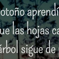 Profile Picture of Anel Ramos (@anel-ramos-1) on Quora