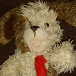 Profile Picture of barryplushvideos (@barryplushvideos) on Instagram