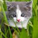 Profile Picture of Cyndi Ackerman (@cyndiackerman) on Pinterest