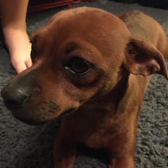 Jackie Rainey - Poshmark Profile Picture of Jackie Rainey (@jackierain3) on Poshmark