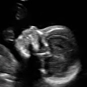 Profile Picture of Krista Blakely (@kristablakely6485) on Youtube