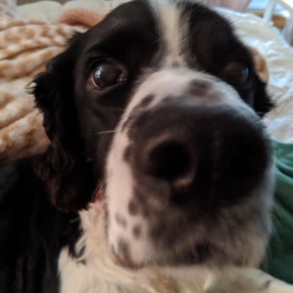 Profile Picture of Joan Bendickson (@2022bendickson) on Poshmark