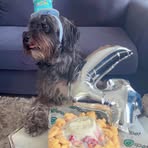 Profile Picture of Jeremiah Bashford (@jeremiah.bashford) on Facebook