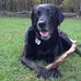 Profile Picture of Doug Simpson (@doug.simpson.1671) on Facebook