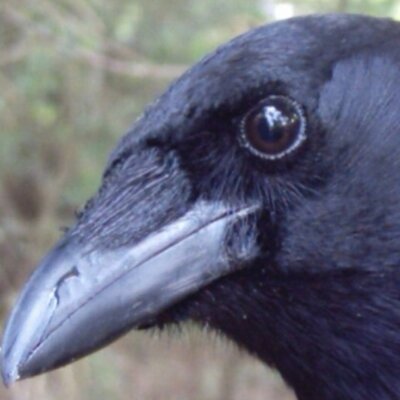 Profile Picture of Deborah McHenry (@DDeborah8) on Twitter